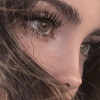 Drya avatar