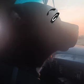 bear my dog driving avatar