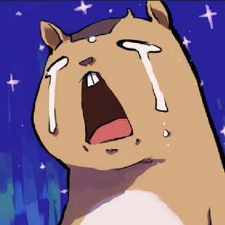 seansayshi avatar