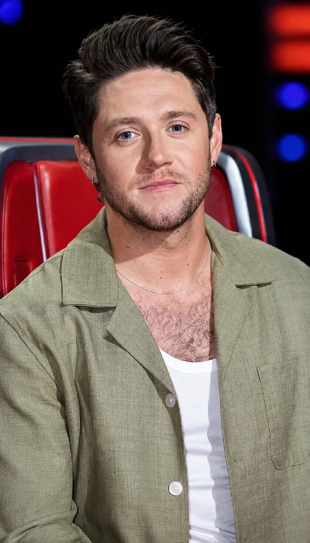 Niall Horan - the voice 2026